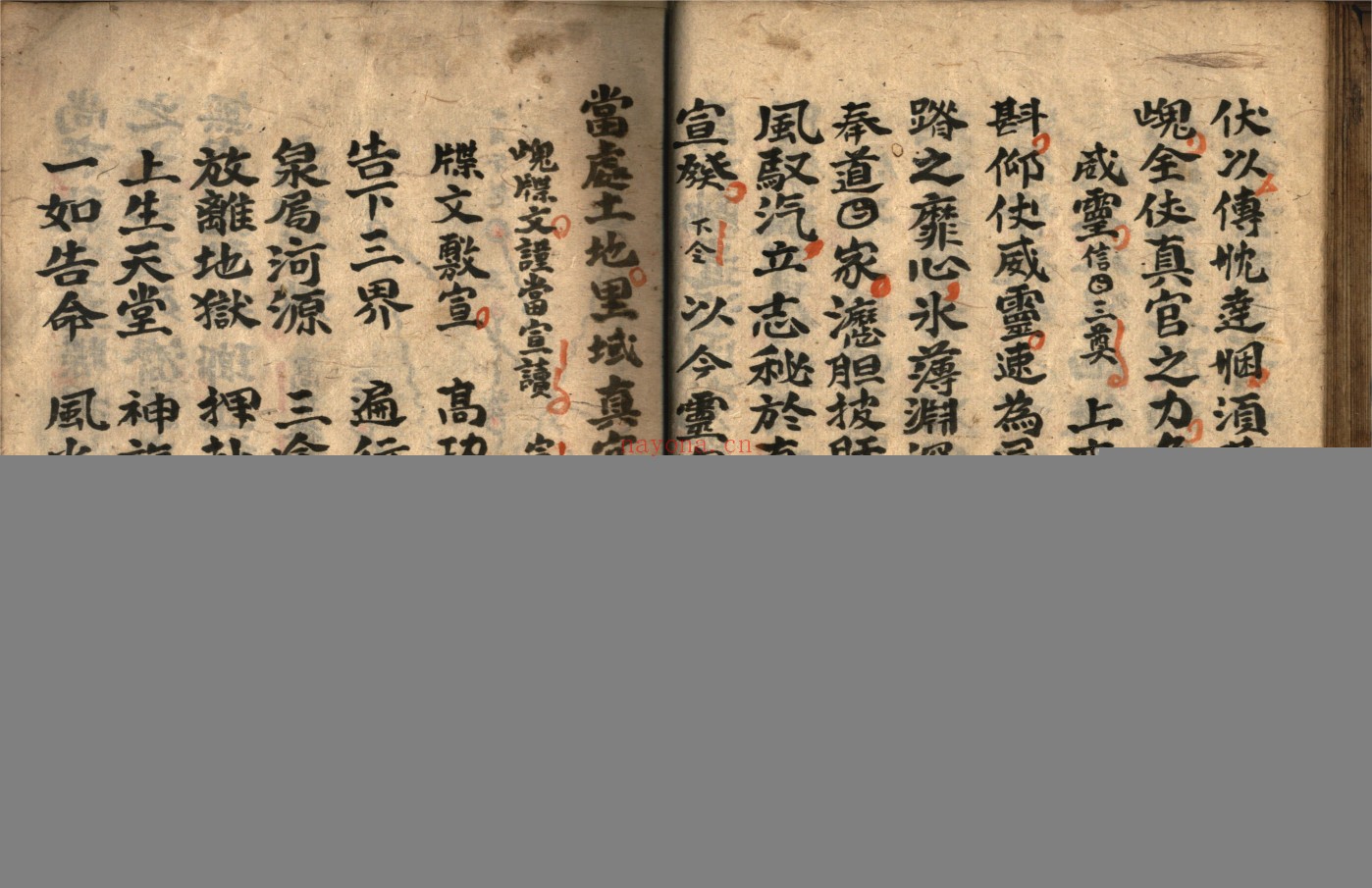 灵宝救苦庭参科