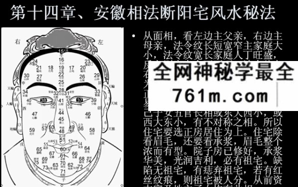 安徽相法 初级+高级 实战视频课程