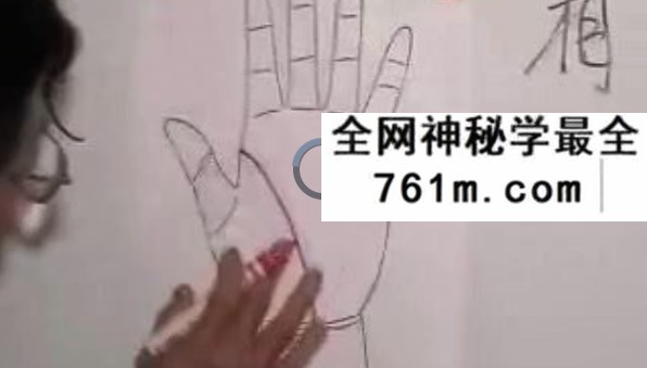 翁向宏 大汉易经学院 手相+面相学 4套