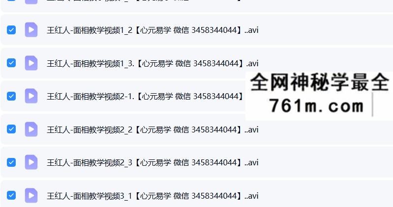 王红人 面相21集教学视频+笔记