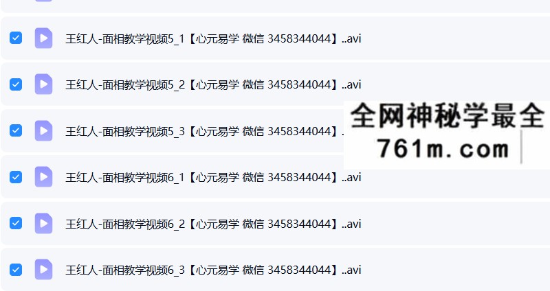王红人 面相21集教学视频+笔记