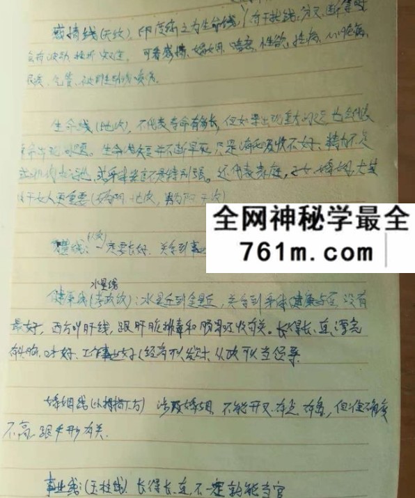 叶飘然手相课程5节音频+笔记
