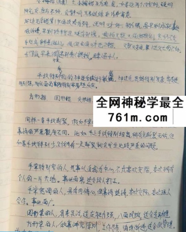 叶飘然手相课程5节音频+笔记