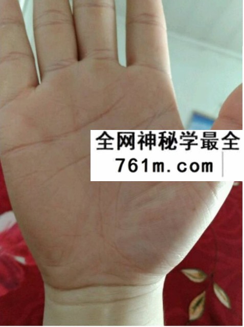 叶飘然手相课程5节音频+笔记