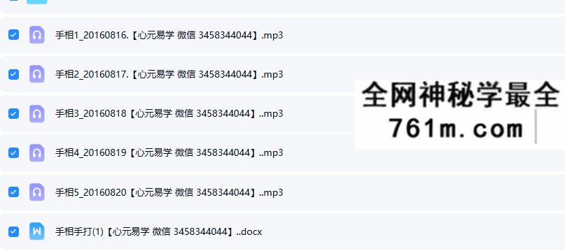 叶飘然手相课程5节音频+笔记