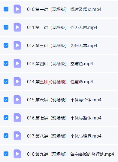 悟道人R老师从十二因缘说起佛学开悟18集视频
