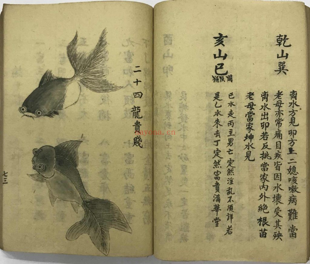 《开山地理秘窍》