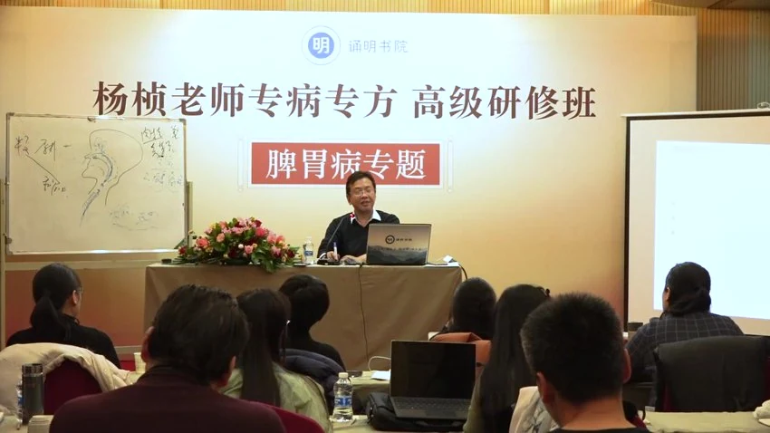 《杨桢脾胃病》视频19集