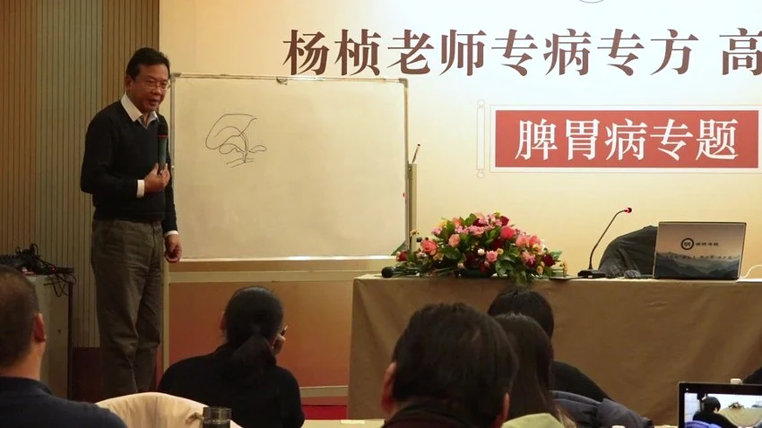 《杨桢脾胃病》视频19集