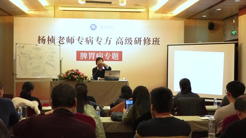《杨桢脾胃病》视频19集