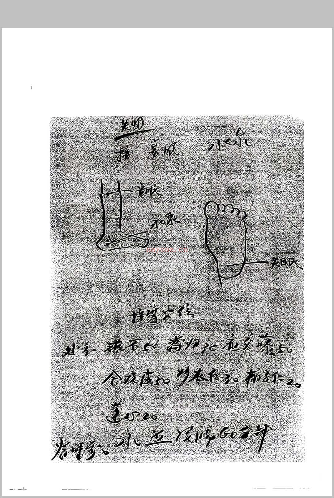 杨氏祖传秘方