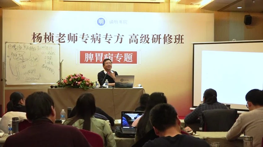《杨桢脾胃病》视频19集