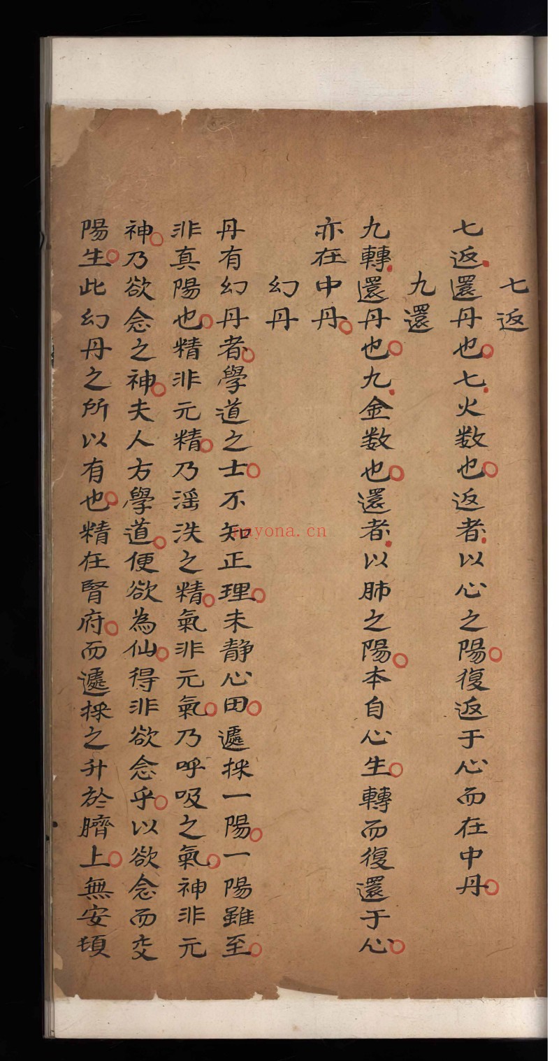 炼真指南