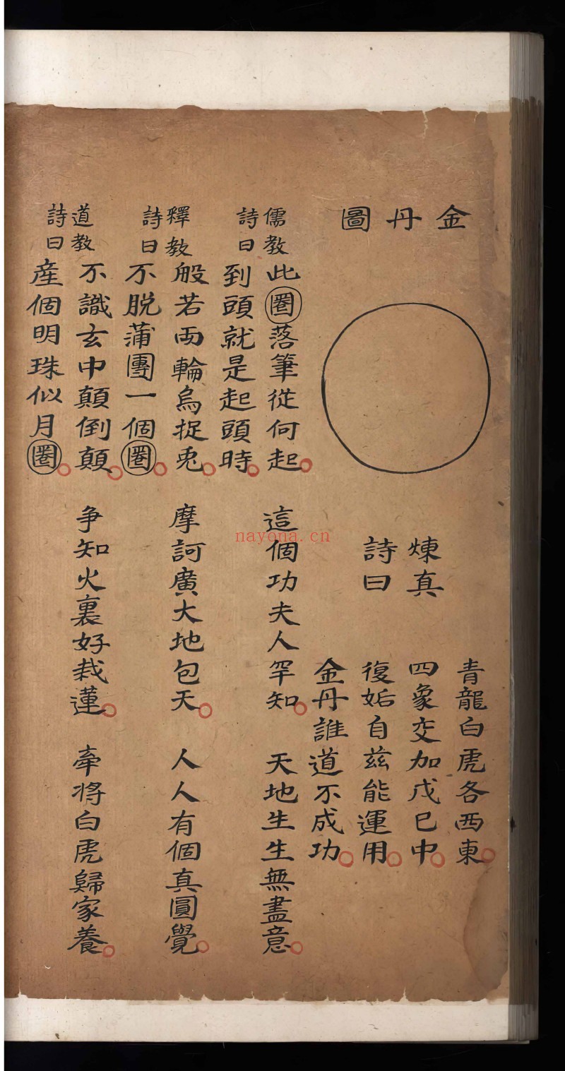 炼真指南