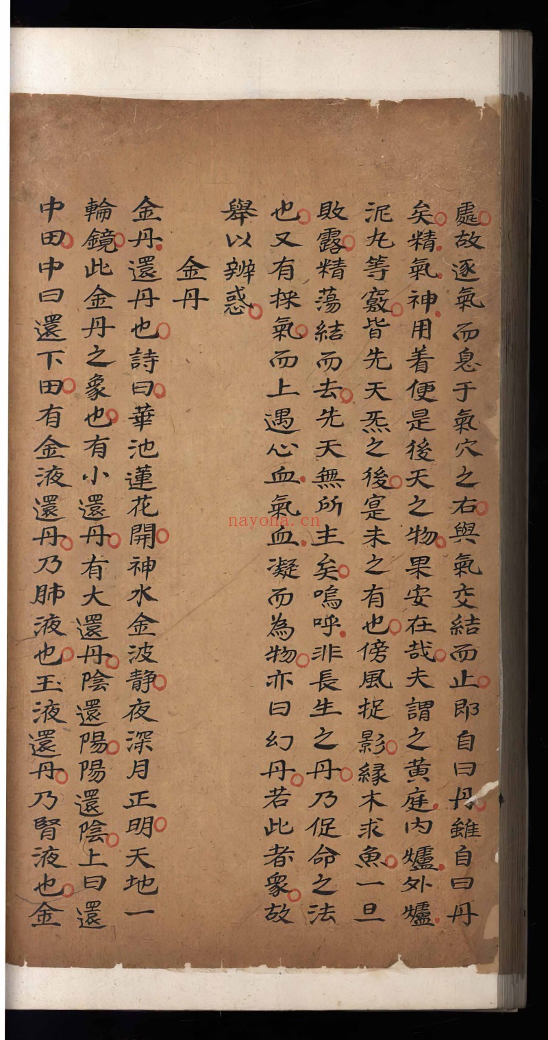炼真指南