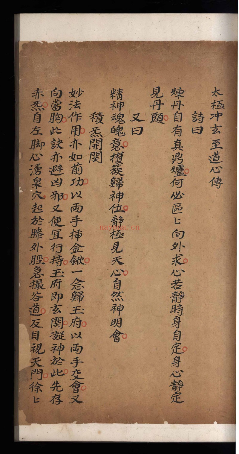 炼真指南