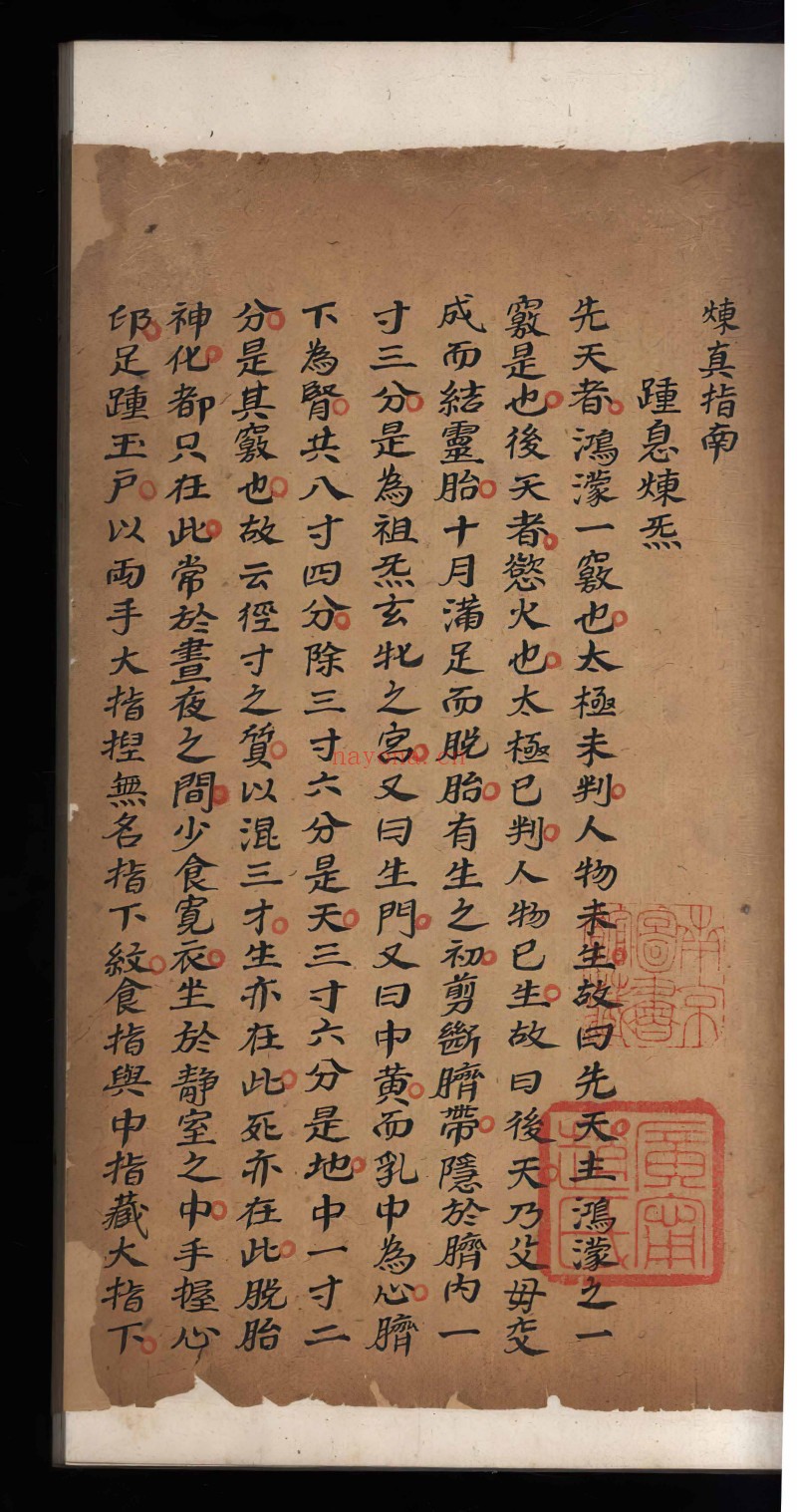 炼真指南
