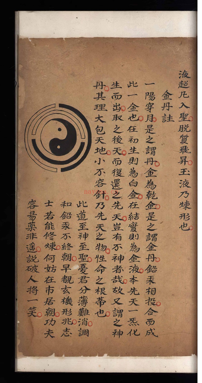 炼真指南