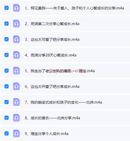 炳淞心理疗愈VIP个案班收获分享9节音频 心理疗愈