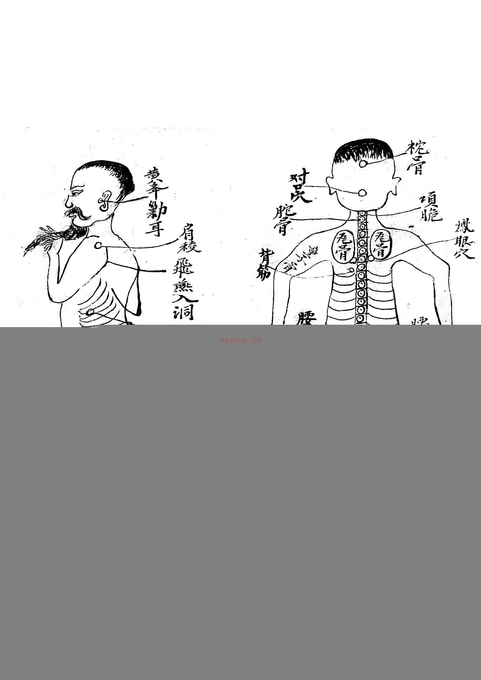 打书打药秘传