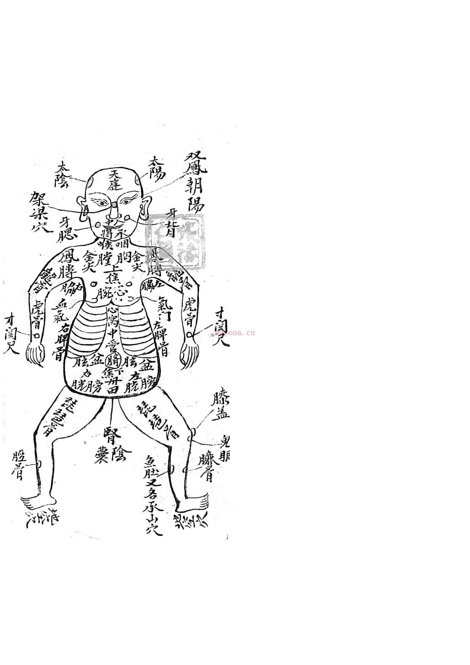 打书打药秘传