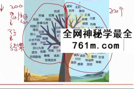 黄君光 开启成人心像力课程 13集