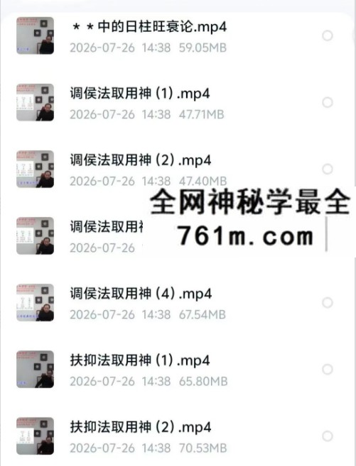 徐丙昕 四柱八字用神篇17集
