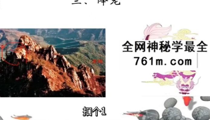 逍遥国学课堂 家传杨公教学系列（字幕版）11集