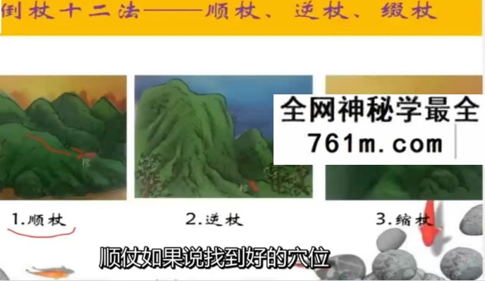 逍遥国学课堂 家传杨公教学系列（字幕版）11集