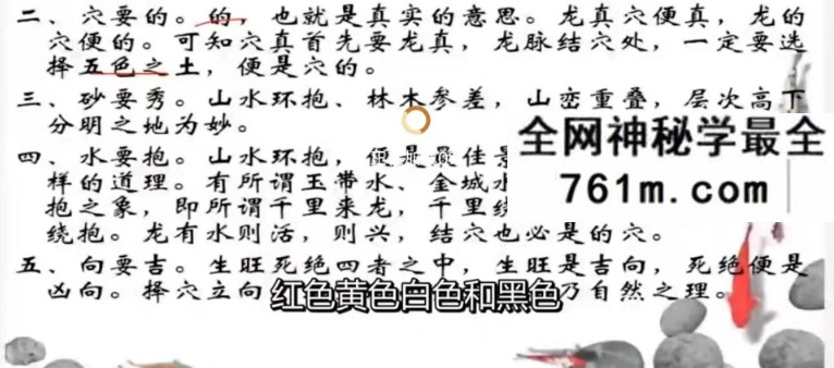 逍遥国学课堂 家传杨公教学系列（字幕版）11集