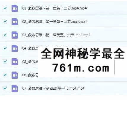五行学社老蔡梅花象数思维7集视频