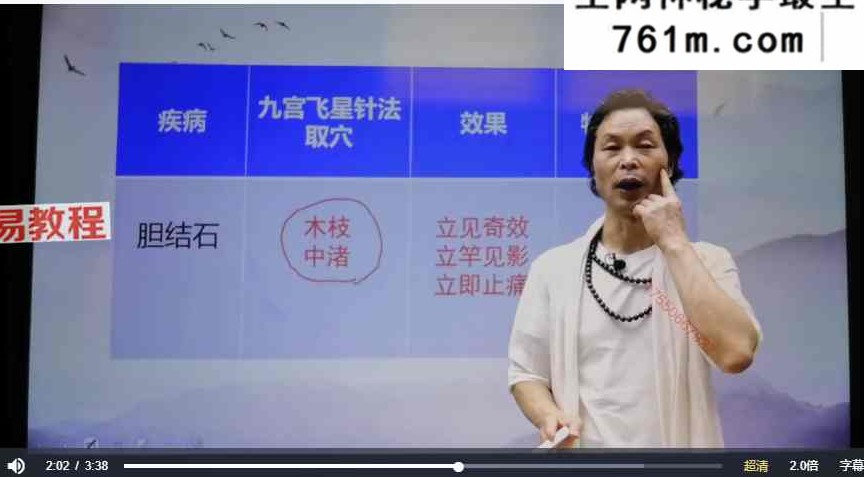 中医绝技——曾真华九宫飞针 视频32集