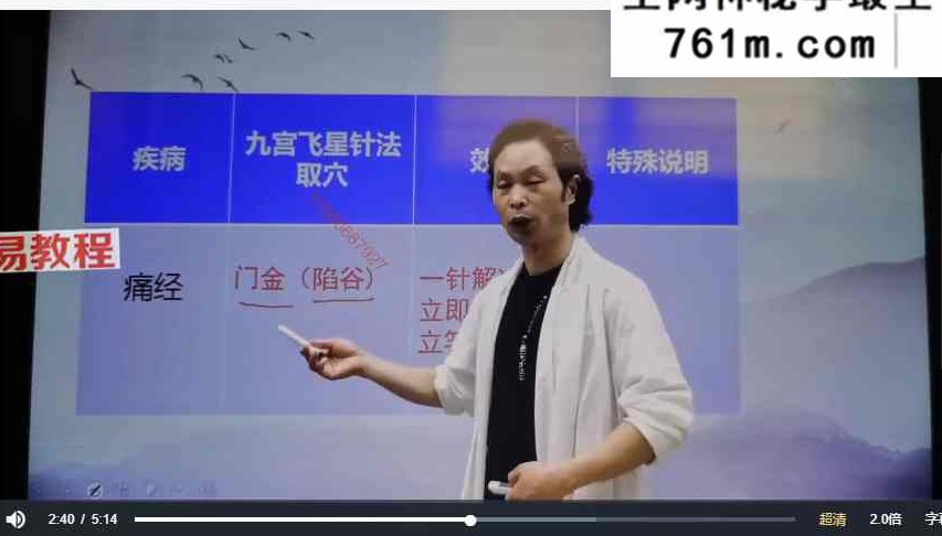 中医绝技——曾真华九宫飞针 视频32集