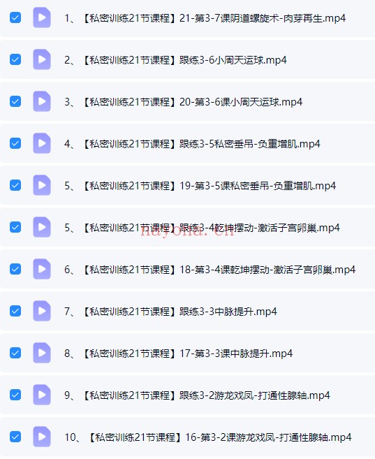 云端V私密训练全阶段21集视频 私密训练课程