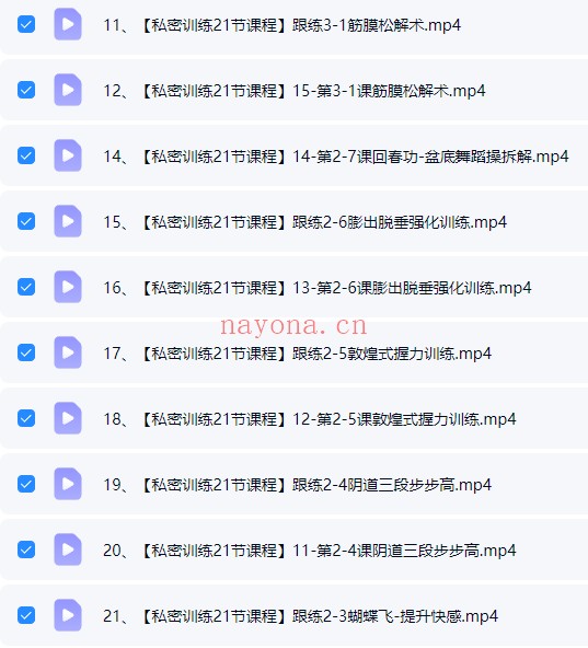 云端V私密训练全阶段21集视频 私密训练课程