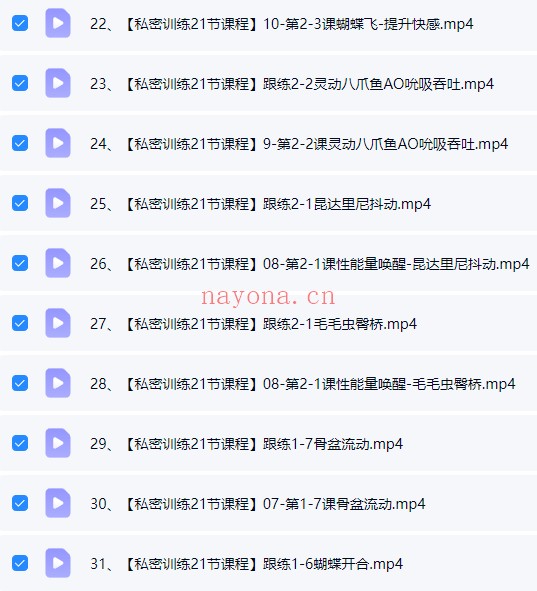 云端V私密训练全阶段21集视频 私密训练课程