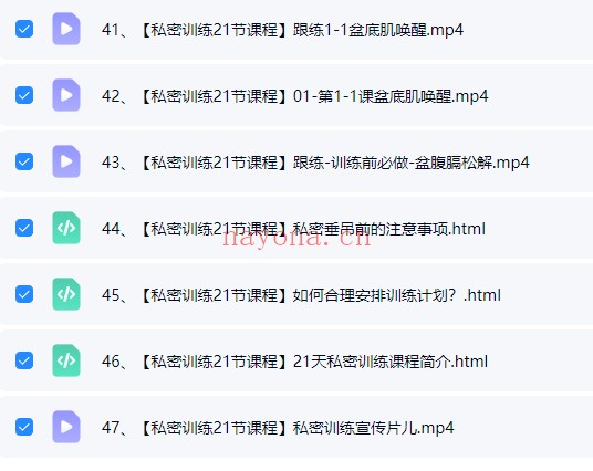 云端V私密训练全阶段21集视频 私密训练课程