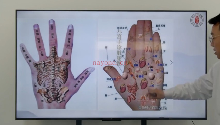 闻宁道医全真派奇针刺络疗法二十三期26集视频