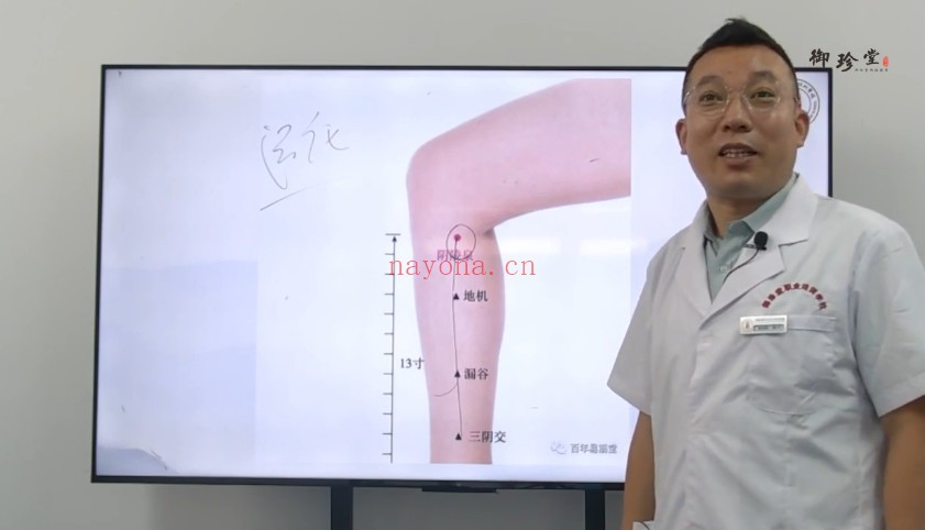 闻宁道医全真派奇针刺络疗法二十三期26集视频