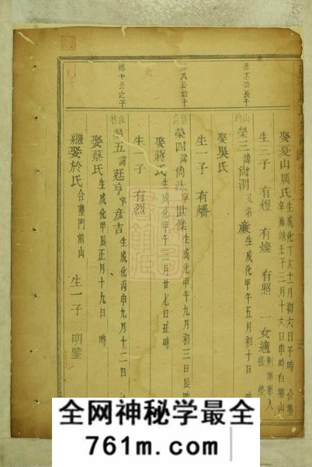 东阳白石斯氏宗谱