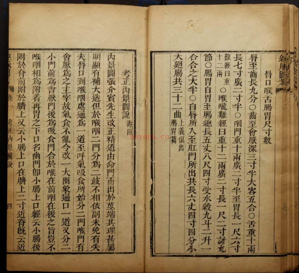 《经脉图考》全四卷