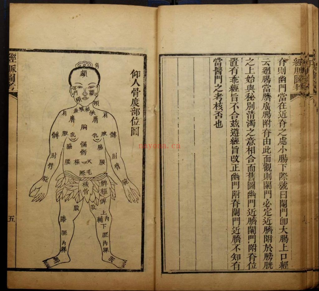 《经脉图考》全四卷