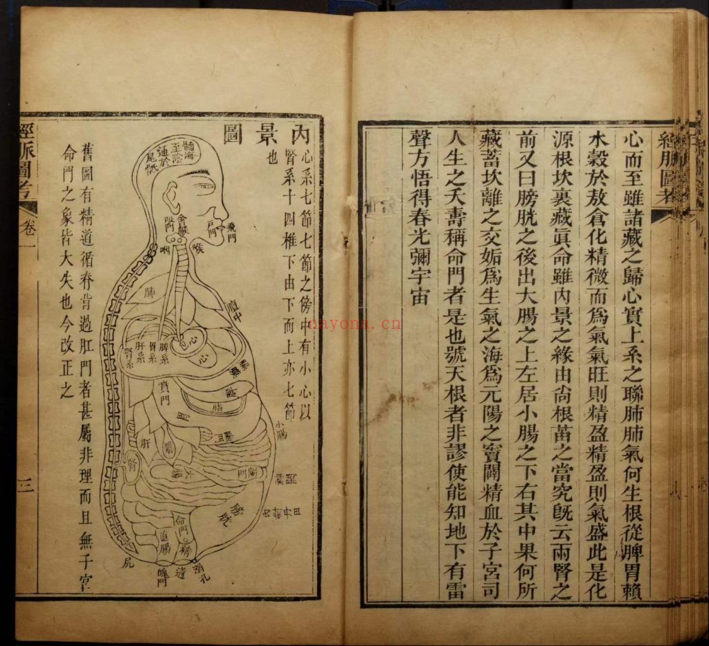 《经脉图考》全四卷