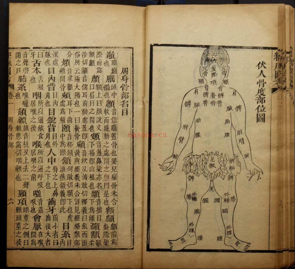 《经脉图考》全四卷
