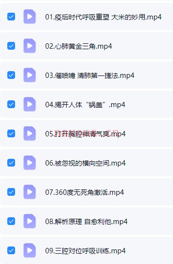 李林昊呼吸调节与身心状态重塑练习课9集视频