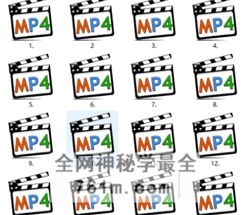 南卜子 八字格局论命讲20种格局论断视频20集+文档