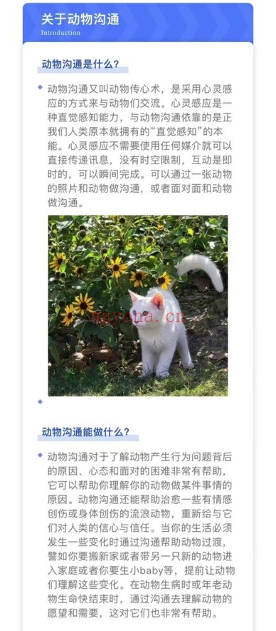梵拉之海蔷薇动物沟通13节音频 动物沟通课程