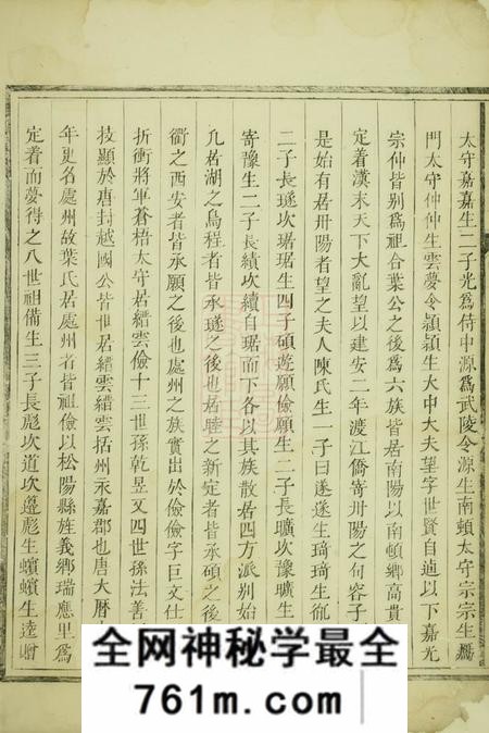 龙游八石叶氏宗谱不分卷