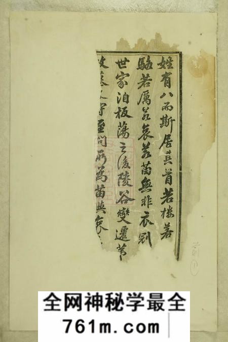 东阳白石斯氏宗谱十一卷