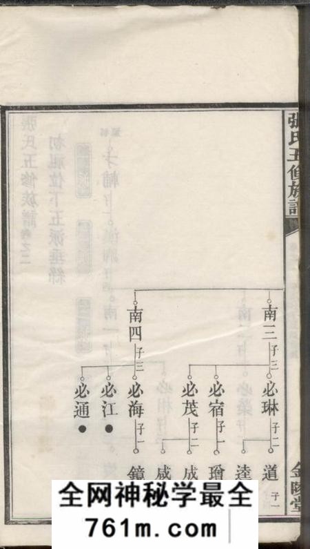 湘潭金陵堂张氏五修族谱
